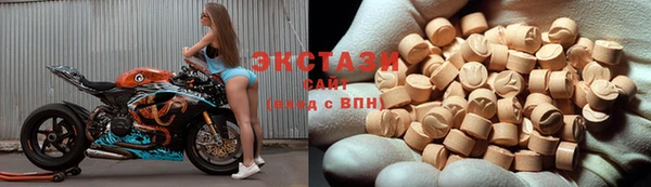 мет Алексин