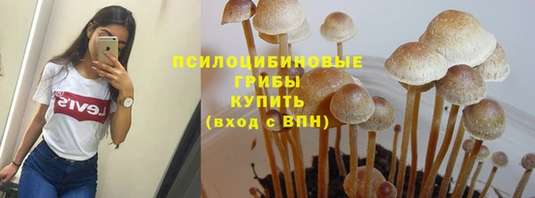мяу мяу мука Абинск
