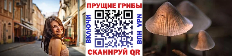 МЕГА как войти  Прохладный  Галлюциногенные грибы мицелий  что такое наркотик 