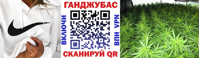 Бошки марихуана THC 21%  наркота  Прохладный 